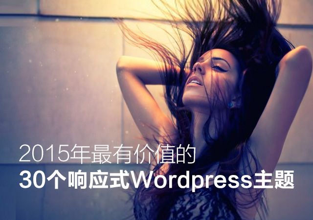 <b>30个响应式WORDPRESS主题</b>